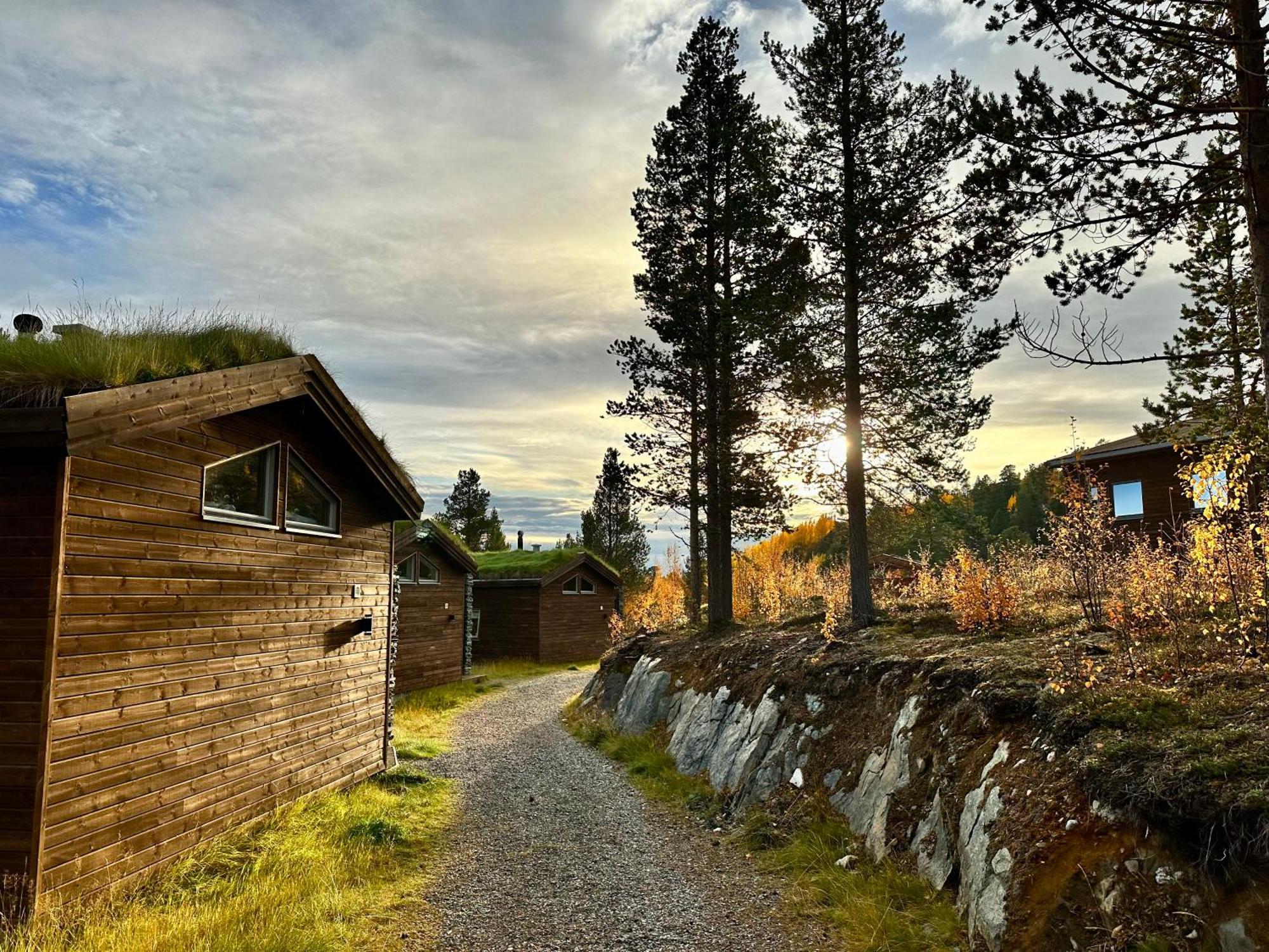 Bjornfjell Mountain Lodge ألتا المظهر الخارجي الصورة